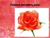Учимся рисовать розу