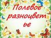 Полевое разноцветье. Вопросы и загадки о цветах