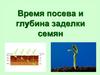 Время посева и глубина заделки семян