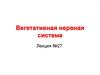 Вегетативная нервная система. Лекция №27