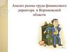 Анализ рынка труда финансового директора в Воронежской области