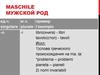Maschile. Мужской род