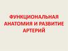 Функциональная анатомия и развитие артерий