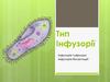 Тип Інфузорії