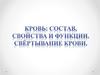 Кровь: состав, свойства и функции. Свёртывание крови