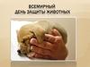 Всемирный День защиты животных