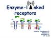 Enzyme-l nked receptors