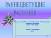 Раннецветущие растения
