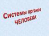 Системы органов человека