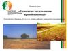 Технология возделывания яровой пшеницы