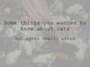 Some things you wanted to know about cats but never really asked