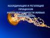 Координация и регуляция процессов жизнедеятельности живых организмов