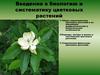 Введение в биологию и систематику цветковых растений