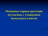 Основные сорные растения, изучаемые с учащимися начальных классов