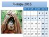 Календарь 2016 год обезъяны