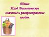 Плод. Биологическое значение и распространение плодов