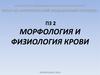 Морфология и физиология крови