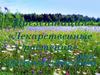Лекарственные растения