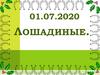 Лошадиные