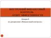 Внутренний финансовый контроль в организации. Аудит эффективности. (Лекция 8)