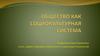Общество как социокультурная система
