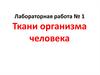 Ткани организма человека