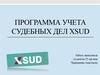 Программа учета судебных дел XSUD