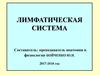 Лимфатическая система