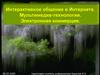 Интерактивное общение в интернете. Мультимедиа-технологии. Электронная коммерция