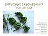 Вирусные заболевания растений
