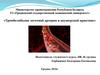 Тромбоэмболия легочной артерии в акушерской практике