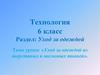 Уход за одеждой из шерстяных и шелковых тканей (технология, 6 класс)