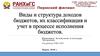 Виды и структура доходов бюджетов, их классификация и учет в процессе исполнения бюджетов