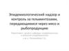 Эпидемиологический надзор и контроль за гельминтозами, передающимися через мясо и рыбопродукцию