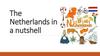 The Netherlands in a nutshell. Quiz