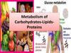 Metabolism of Carbohydrates-Lipids-Proteins