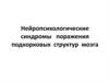 Нейропсихологические синдромы поражения подкорковых структур мозга