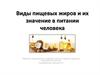 Виды пищевых жиров и их значение в питании человека