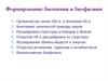 Формирование биохимии и биофизики