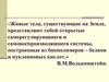 Нуклеиновые кислоты и их роль в жизнедеятельности клетки