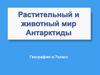 Растительный и животный мир Антарктиды