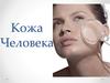 Кожа человека