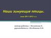 Наши зимующие птицы. Зима 2011-2012 г.г