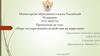 Меры государственного воздействия на коррупцию