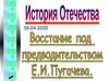 Восстание под предводительством Е.И. Пугачева