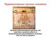 Рудиментарные органы человека
