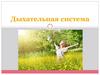 Дыхательная система
