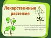 Лекарственные растения