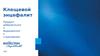 Продукт добровольного медицинского страхования "Клещевой энцефалит"