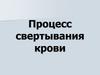 Процесс свертывания крови